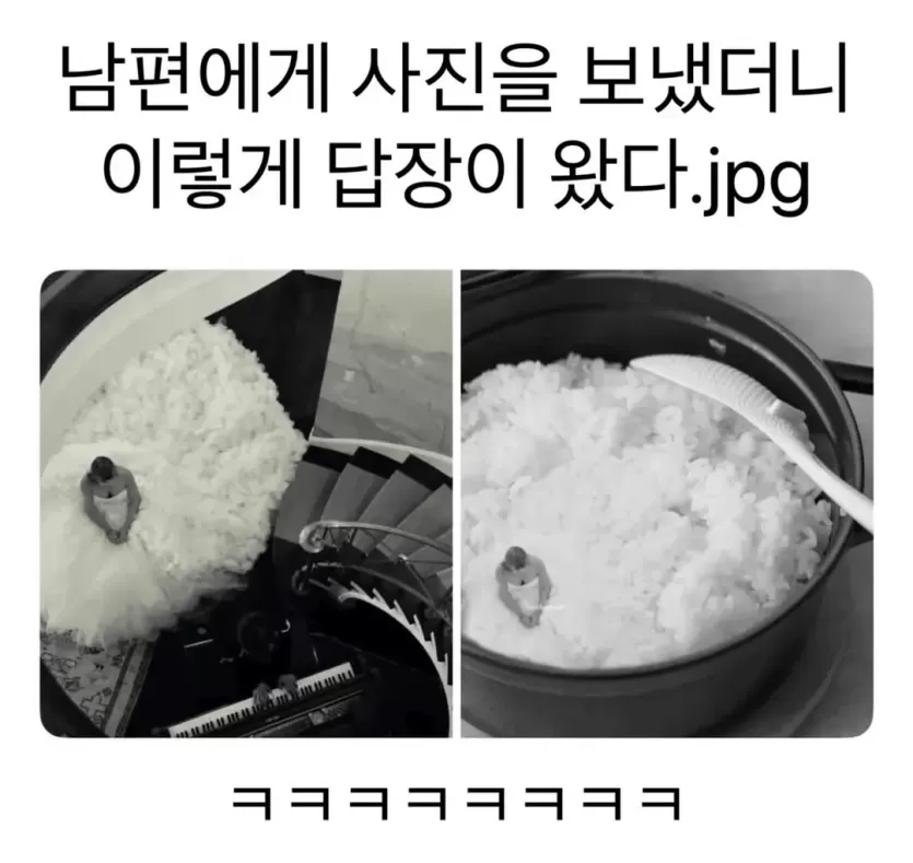 image.png 남편에게 사진을 보냈더니 이렇게 답장이 왔다.jpg